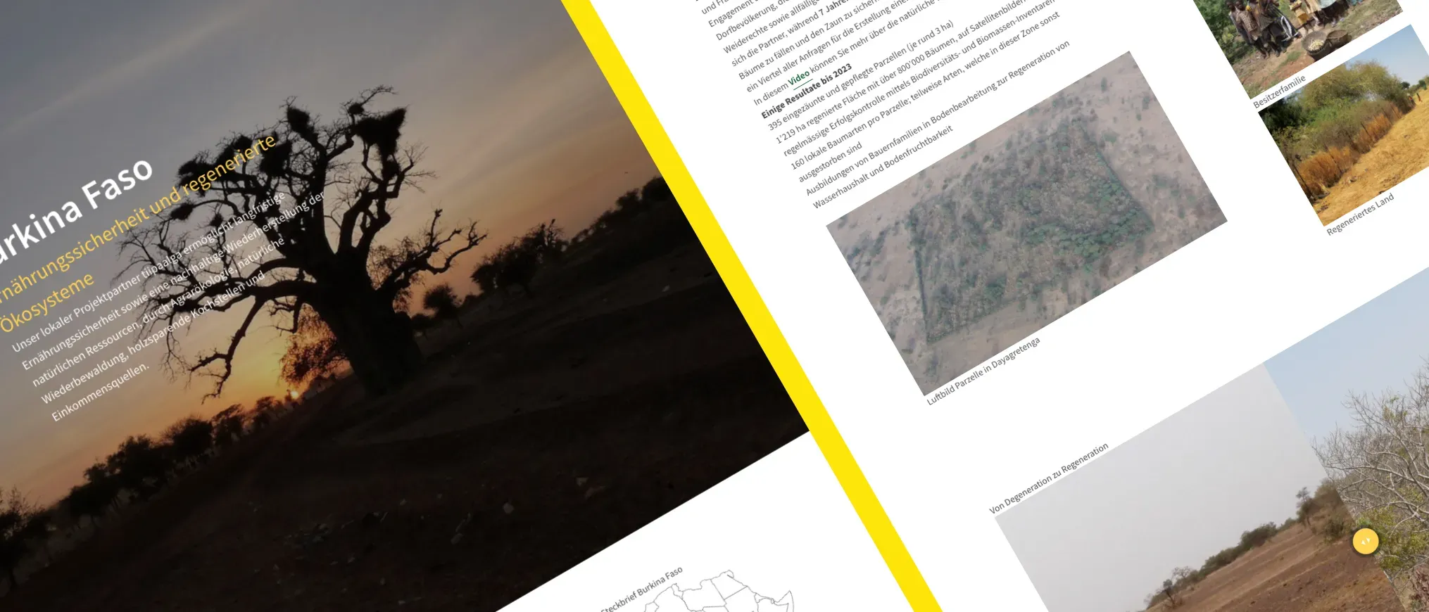 newTree — Bäume fürs Leben